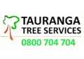 Tauranga Tree Services – Tauriko