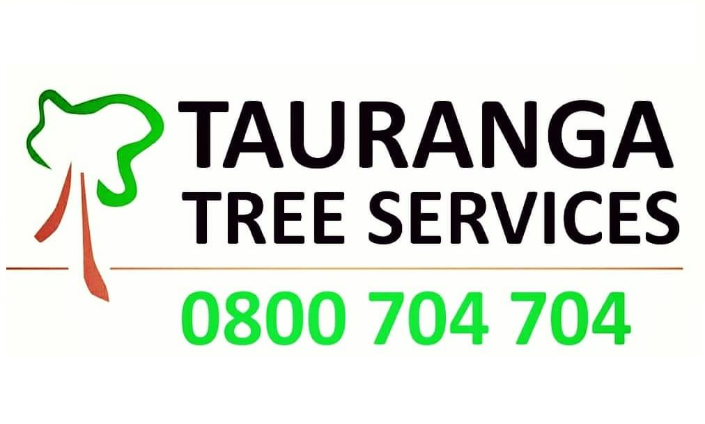 TaurangaTree Service